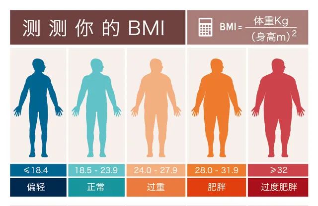 以吃著稱的廣東，為什麼盛產「瘦子」？答案藏在他們的食譜裡 健康 第14張