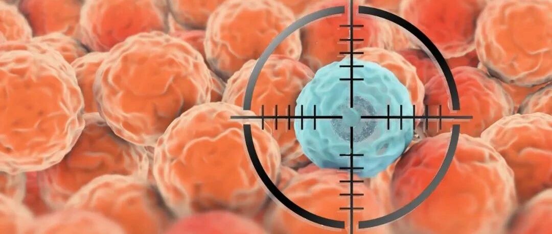 政协委员：自认为健康也要筛查肿瘤！你是这10种癌的高危人群吗？