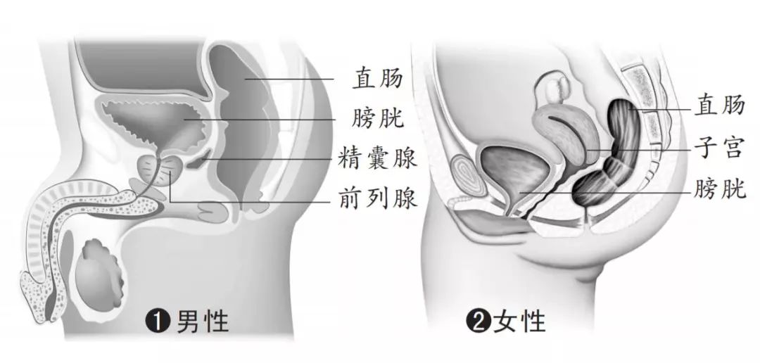 一個動作摸出80%的直腸癌！不愧是醫生們眼中的「一指禪功」 健康 第3張