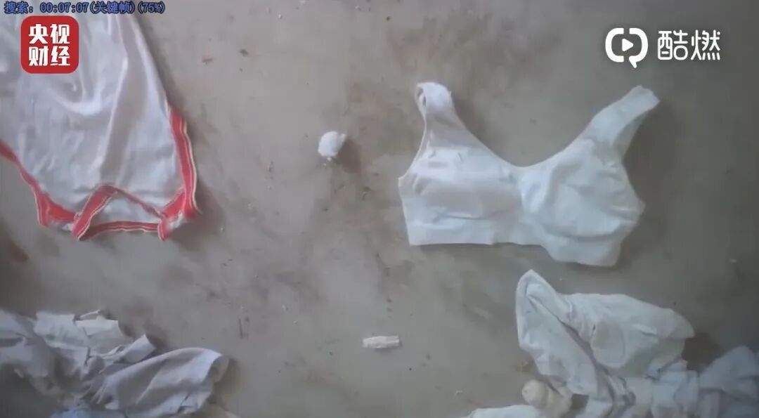 毛巾纤维超细怎么办_毛巾超细纤维是什么材质_超细纤维毛巾