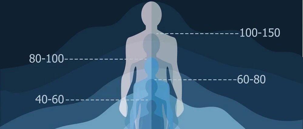 慕尼黑大学：身体有个「衰退曲线」，从这个年龄就走下坡路了