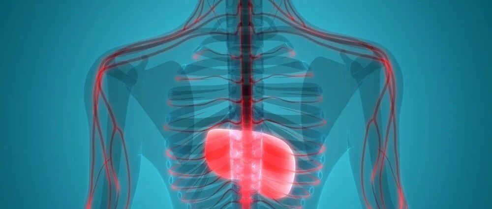 「轻度脂肪肝」伤害可不“轻”！历时14年研究：死亡风险增7成