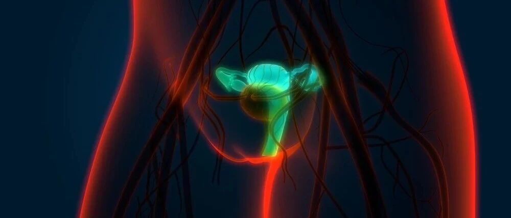 5大因素让女人卵巢早衰！在这个年龄段绝经长寿几率大