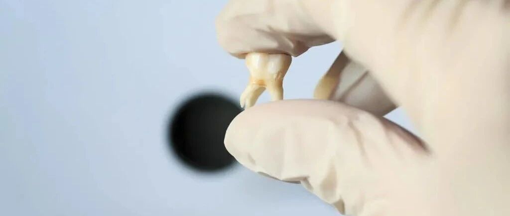 被10亿人忽视的口腔问题，正悄悄瓦解「全身系统」