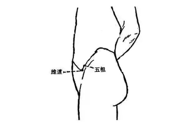 人體自帶一條「長壽腰帶」，它順暢了，整個人就舒坦了 健康 第5張