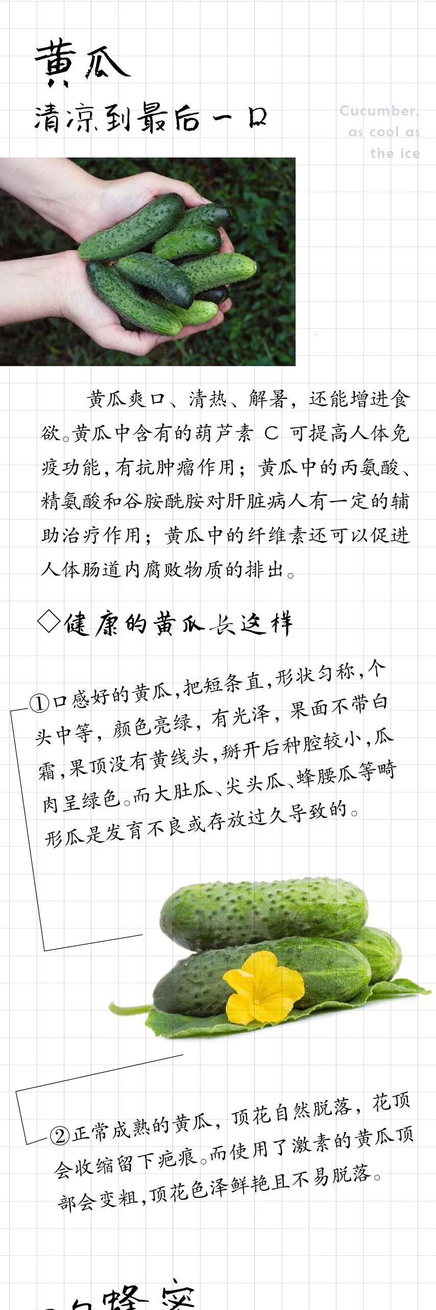 自帶「解暑光環」的7種食物！除了抱緊空調你還能這樣吃 健康 第7張