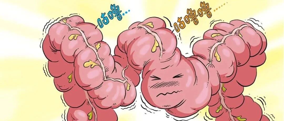 【漫绘科普】为什么有人的肠道“怕”牛奶？