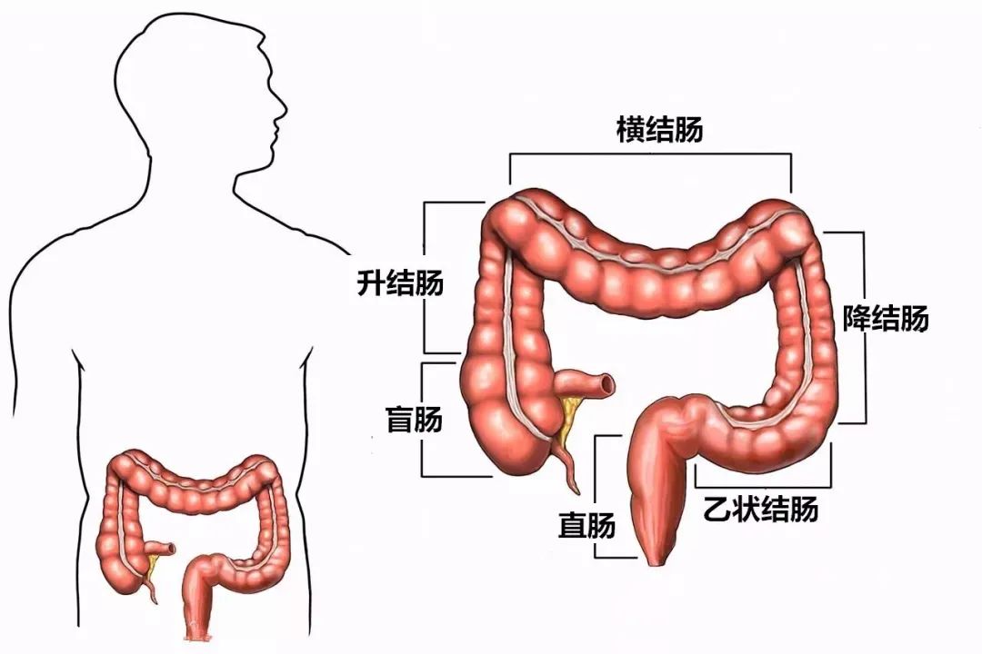 年年體檢為何還沒能揪出腸癌肛腸科醫生透露4個原因