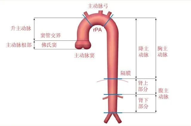 36歲男星因「主動脈夾層」離世！每年10月是它的發病高峰期 健康 第3張