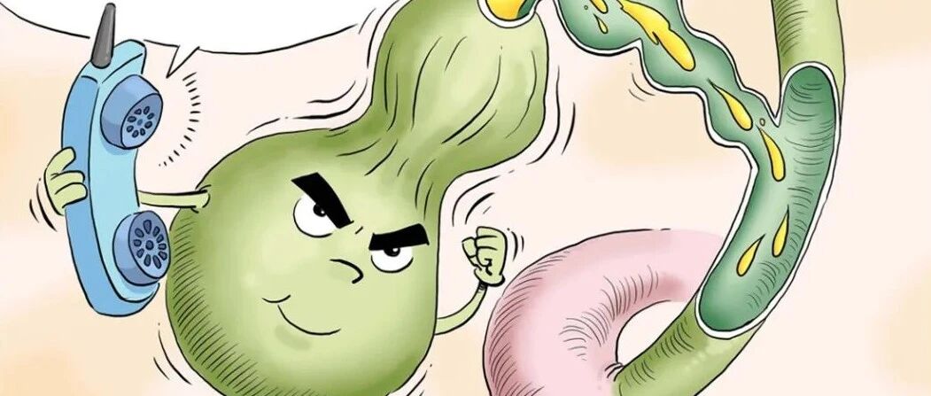 【漫绘科普】胆囊是怎么被“憋”出石头的？