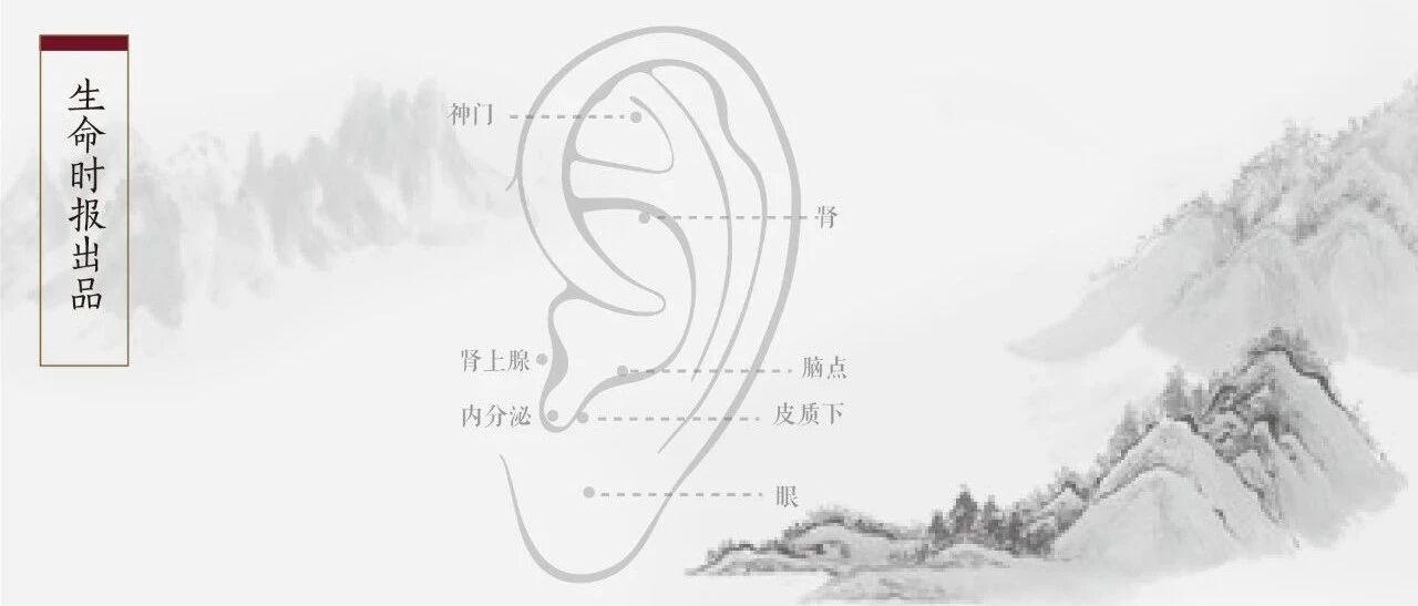 耳朵上有张保健地图：中医教你“揉”好93个耳部穴位