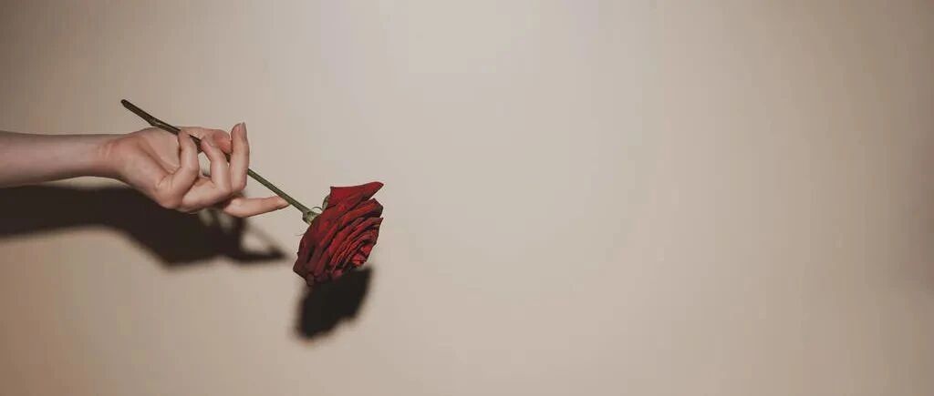 为什么劝女性“养足”气血？中医推荐5种「厚补」食物