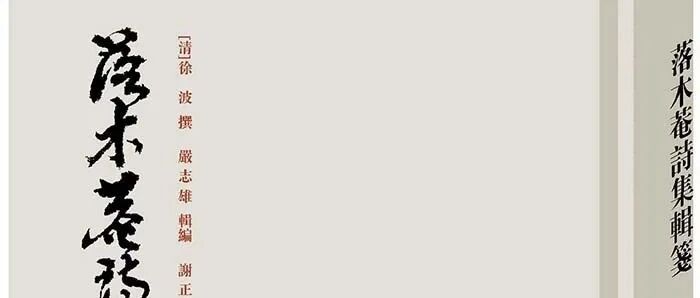 张旭东 | 江东留得一徐波