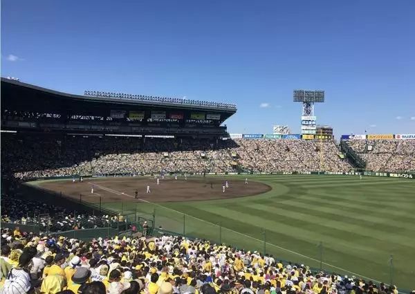 徐靖沙青青 百年甲子園 青春 熱血和鄉愁 上海書評 微文庫