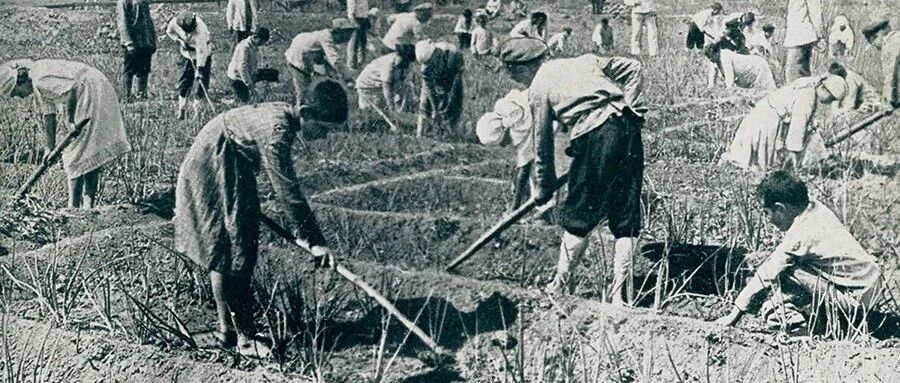 肖瑜评《苏联犹太人研究（1941-1953）》︱关于苏联的反犹主义