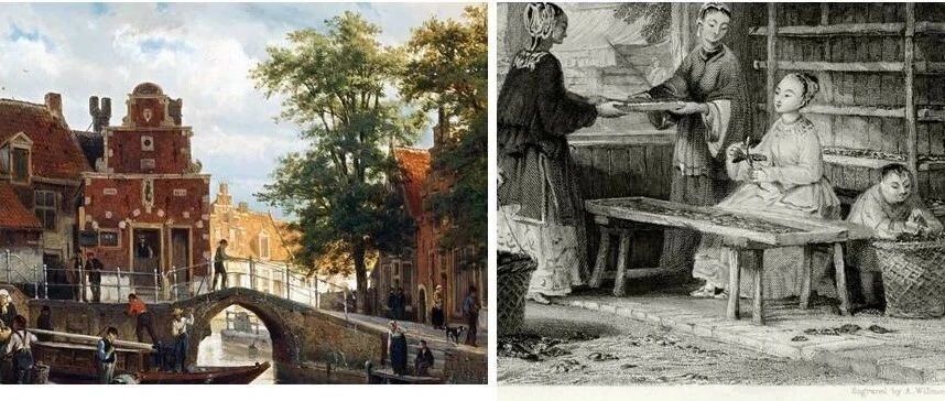 周琳读《大分流重探》︱“重探”甚好，包容尤难