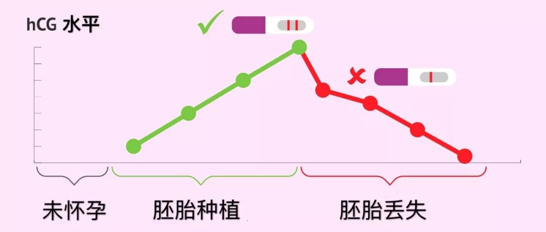 到底是迟来的大姨妈还是生化妊娠了 蒲荷孕育 微信公众号文章阅读 Wemp