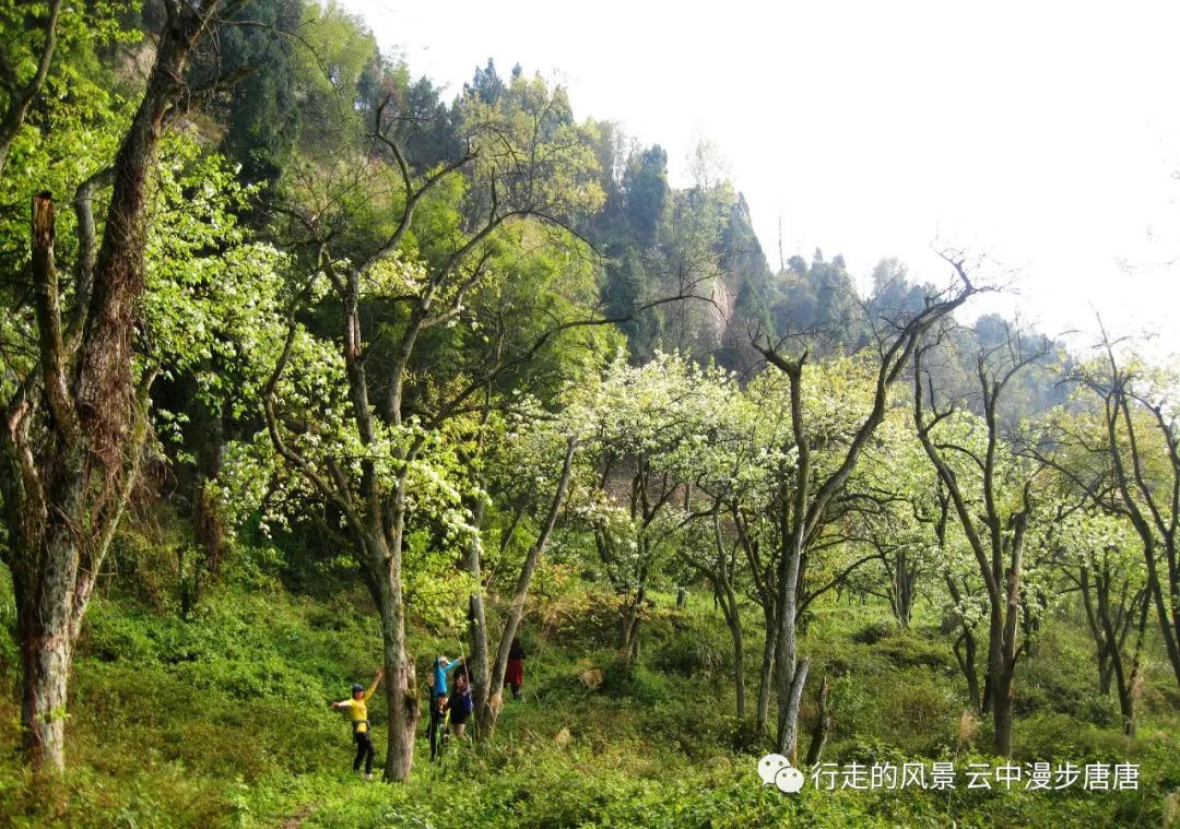 行走的风景——岳池石垭