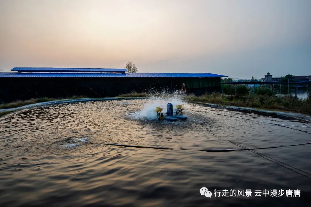 行走的风景——岳池石垭