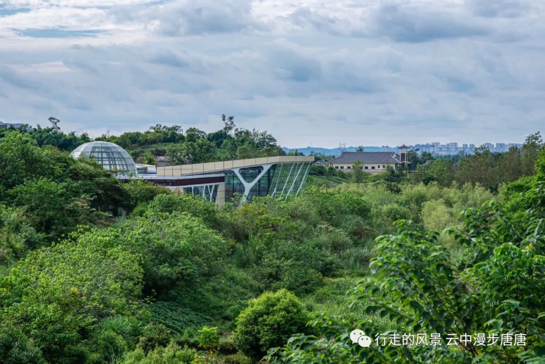 行走的风景——岳池石垭