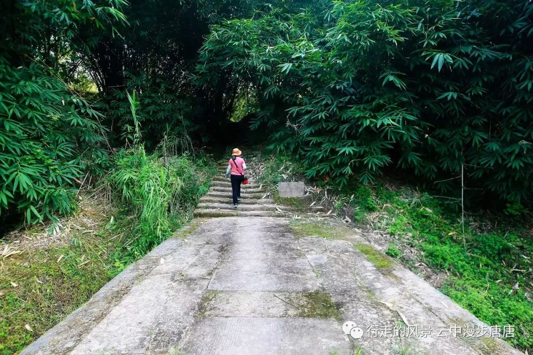 行走的风景——岳池罗渡