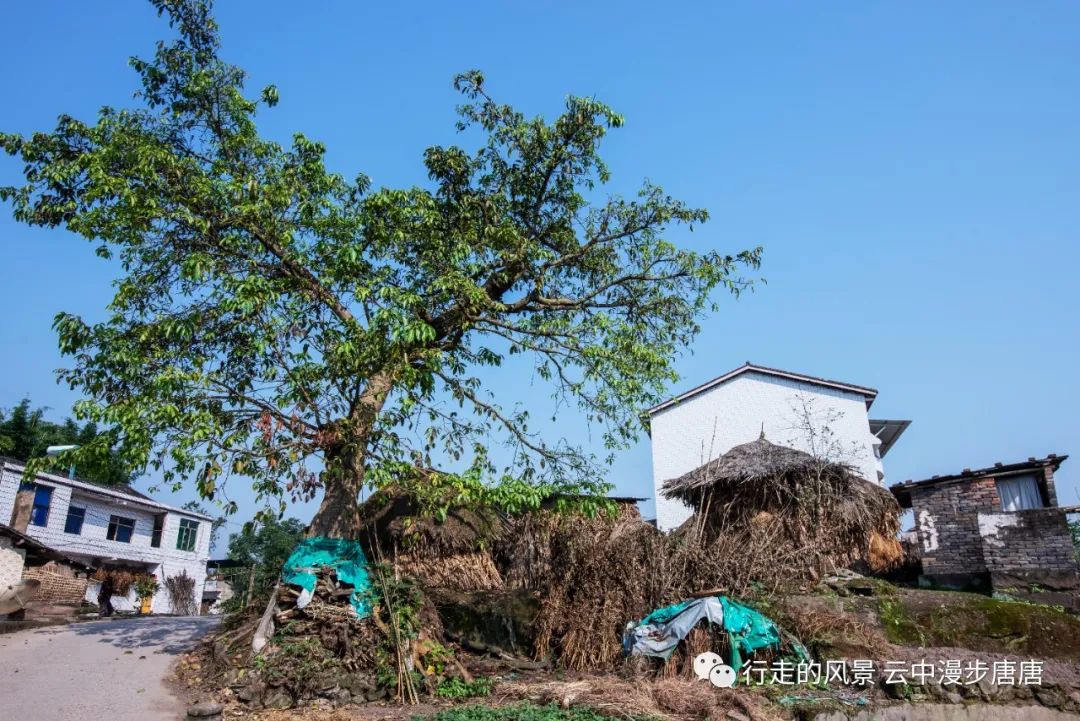 行走的风景——岳池罗渡