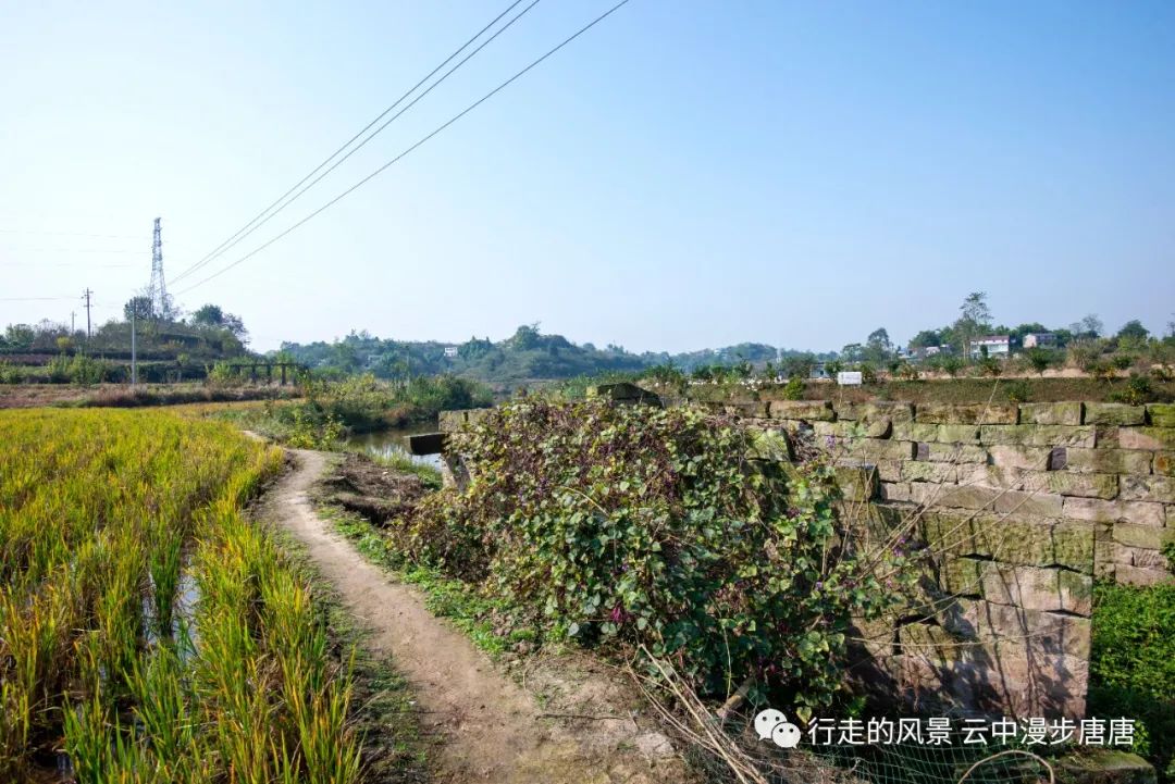 行走的风景——岳池罗渡