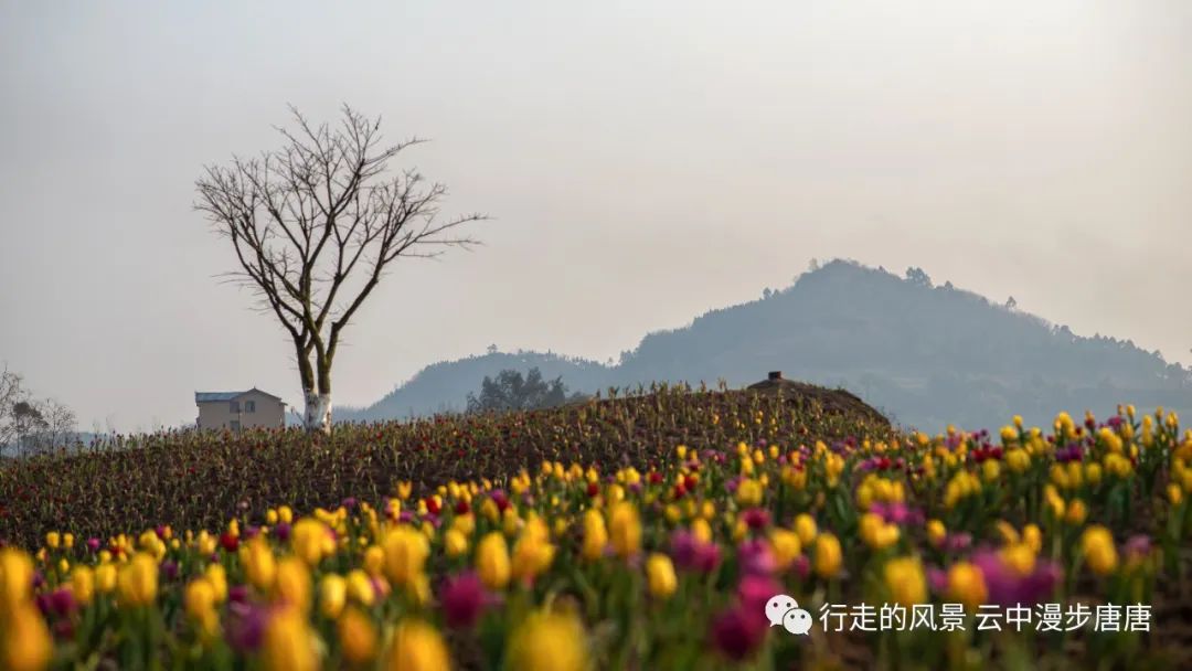 行走的风景——岳池石垭