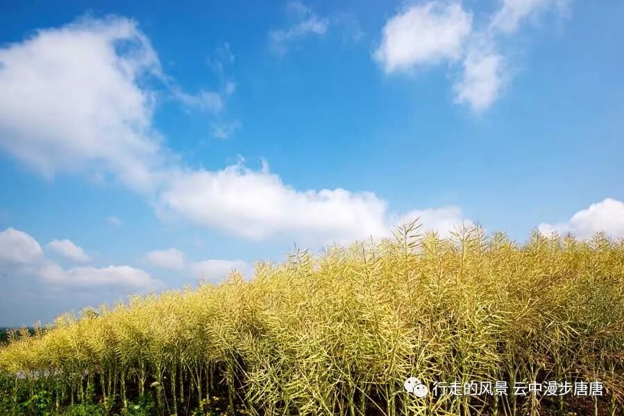 四川省传统村落——接官亭