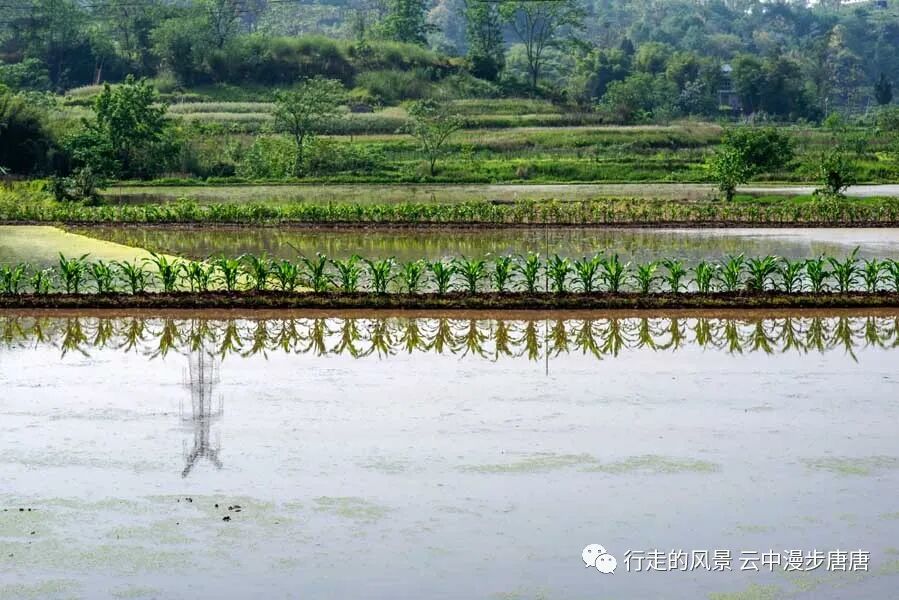 四川省传统村落——接官亭
