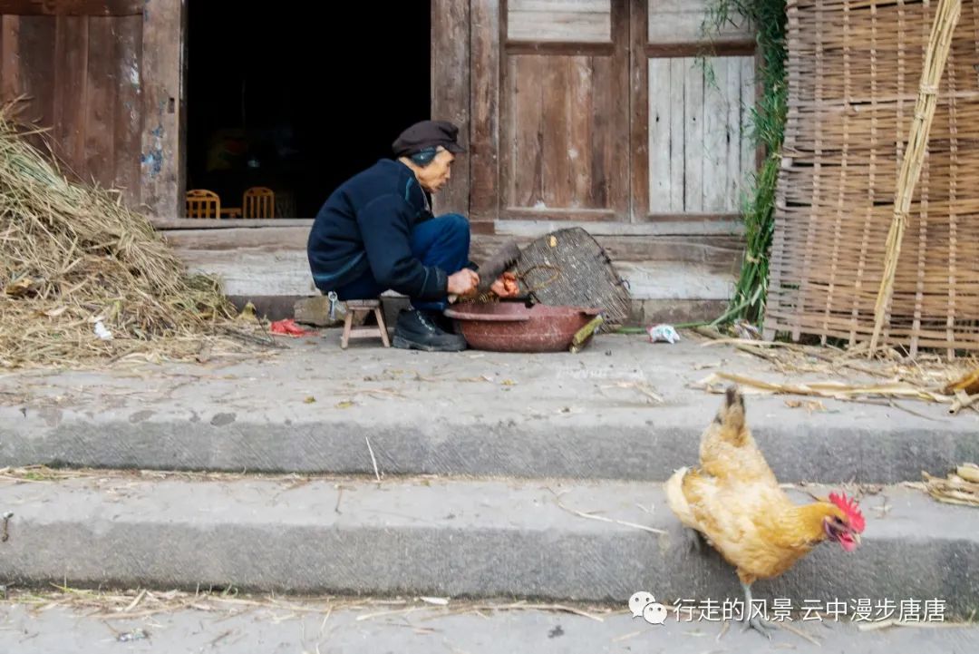 岳池：苟角蓝家院子