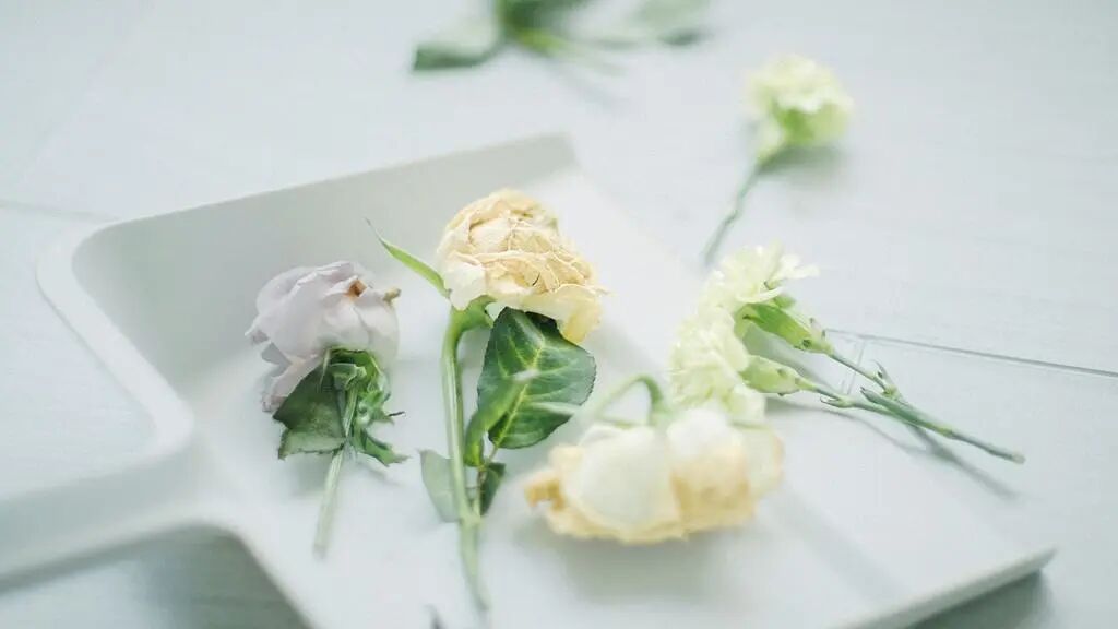 4个少女，哪个忧伤，测你是高情商还是低情商