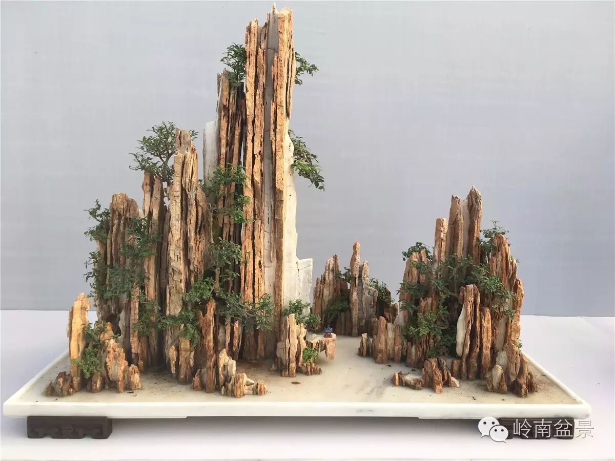 x60x40cm)第九届中国盆景展银奖作品▲唐波作品《锦绣山河》(千层石