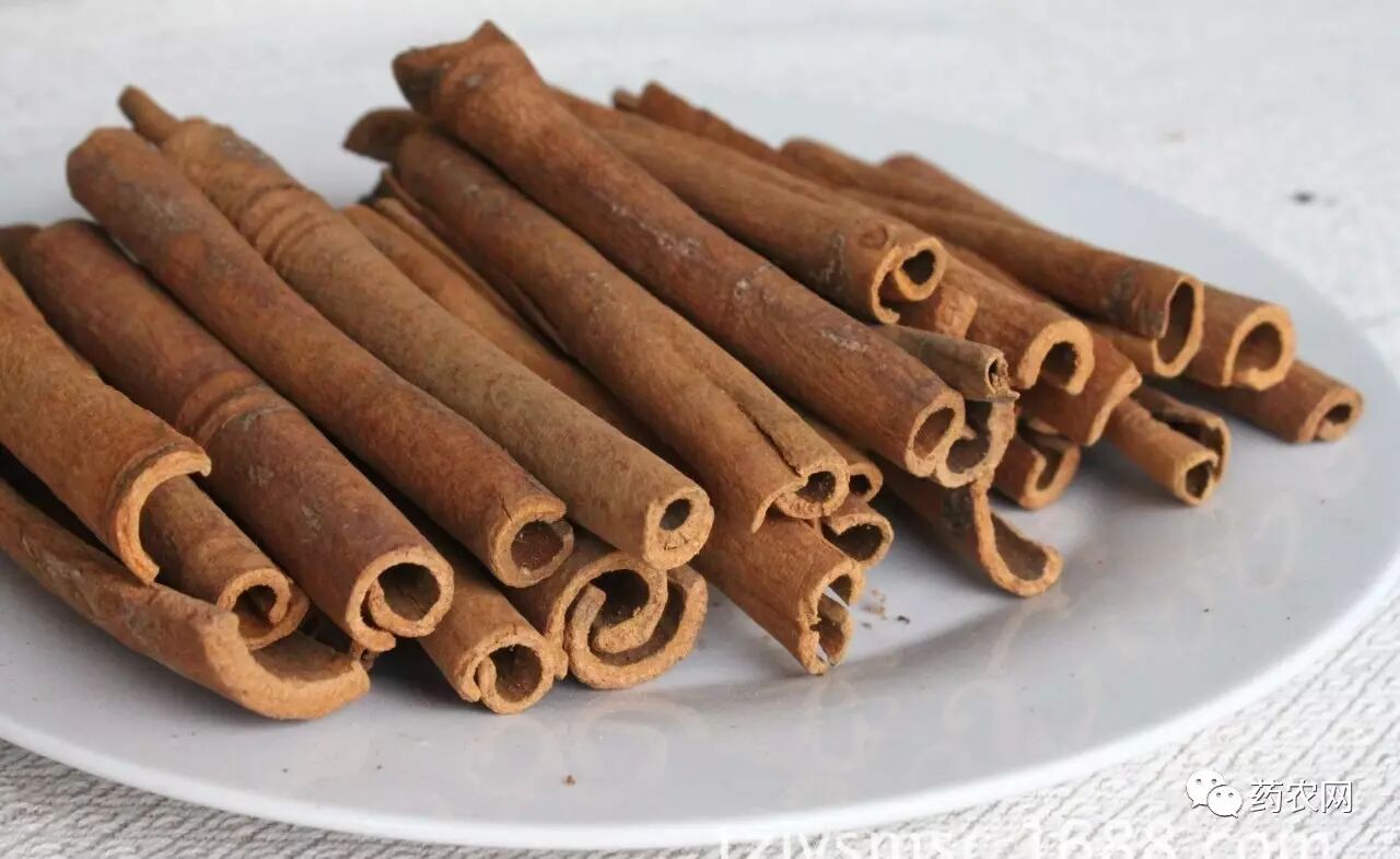 阴香的干燥树皮冒充桂皮请注意