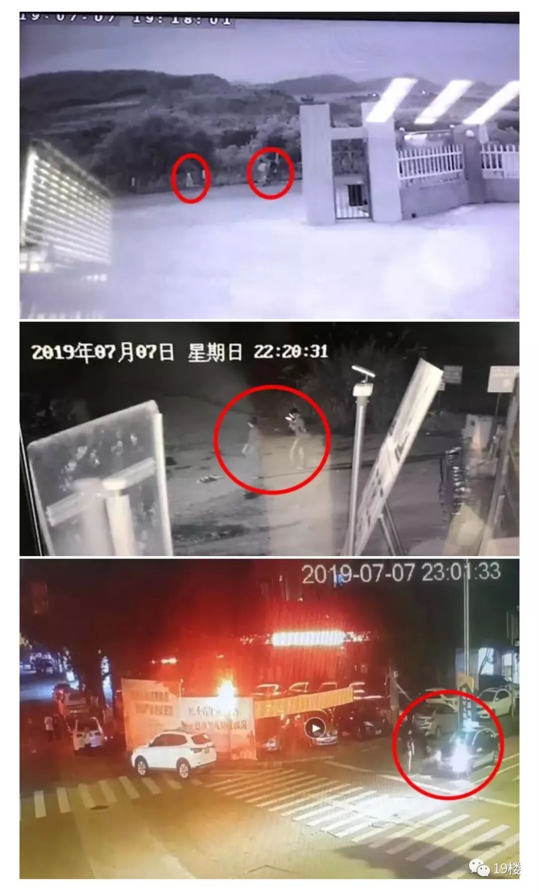19楼 自由微信 Freewechat