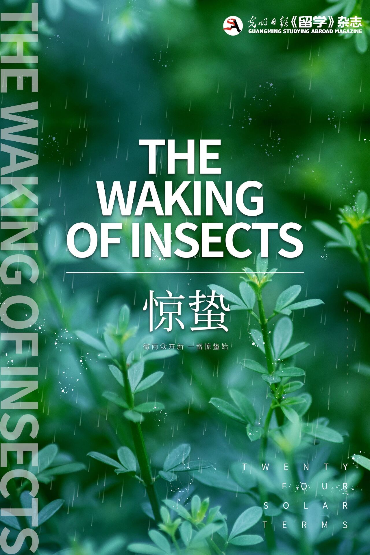 the waking of insects 惊蛰:微雨众卉新,一雷惊蛰始 - 留学杂志