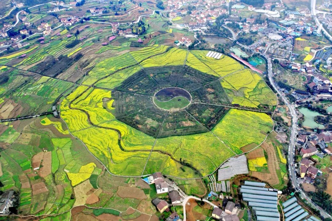 提颜值修内涵神采八卦园上新啦