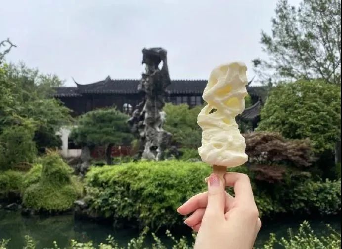 蘇州又上熱搜！對全球宣布1元遊園林！ 旅遊 第21張