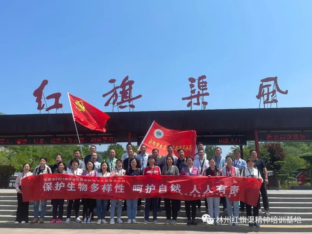 QQ截图20210602093600