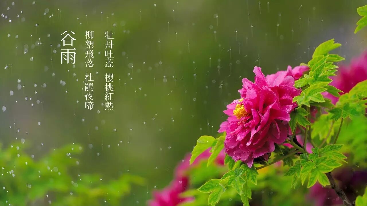 雨水生百谷,饱含人们对大自然引领万物的敬畏,和对风调雨顺,万物生生
