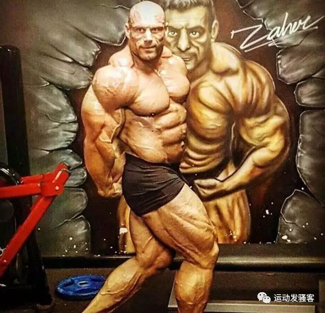体 脂肪 率 力士