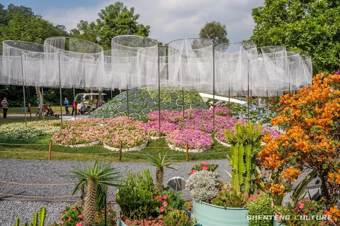 ȫ��ѣ�����9���붬����ء�ÿ����������