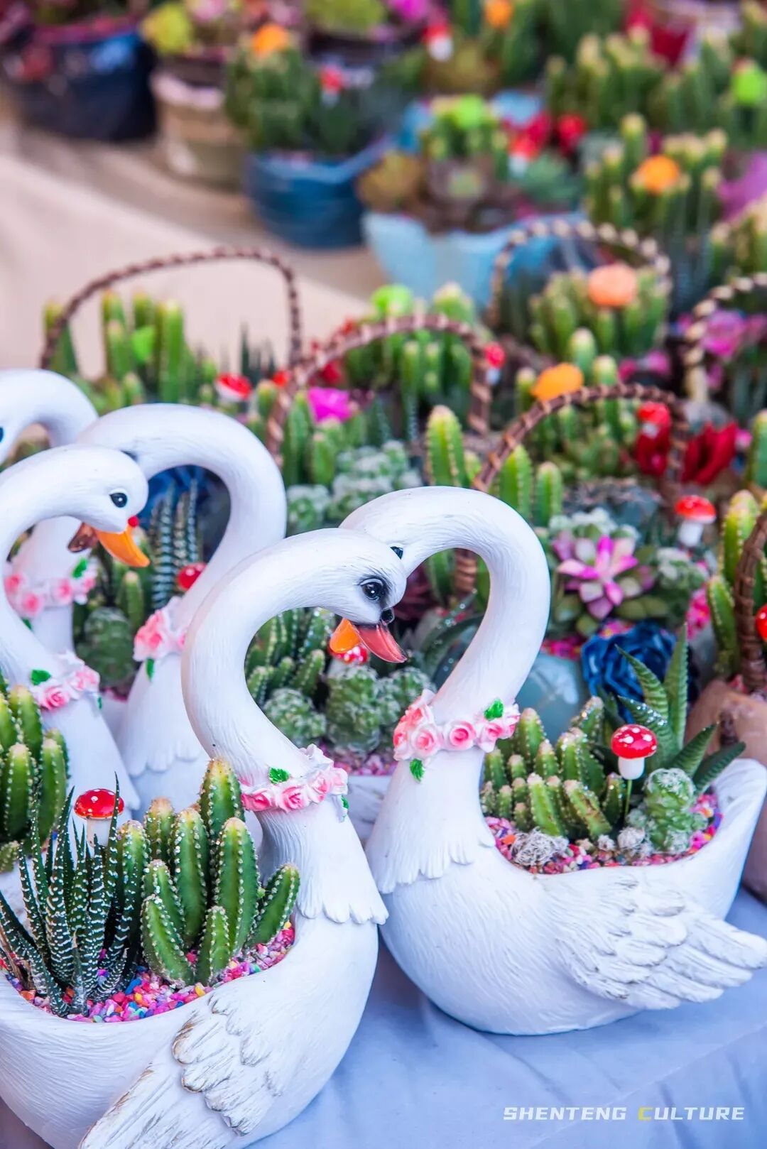 ȫ��ѣ�����9���붬����ء�ÿ����������