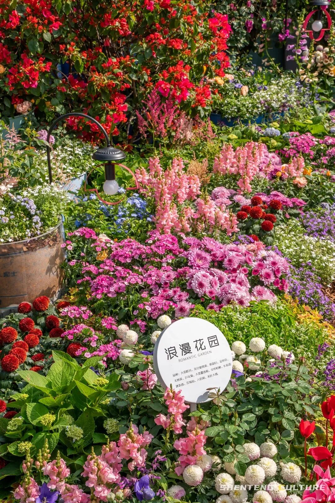 ȫ��ѣ�����9���붬����ء�ÿ����������