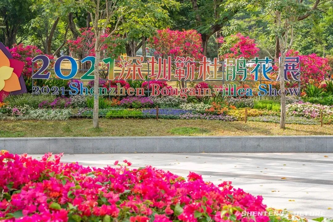 ȫ��ѣ�����9���붬����ء�ÿ����������