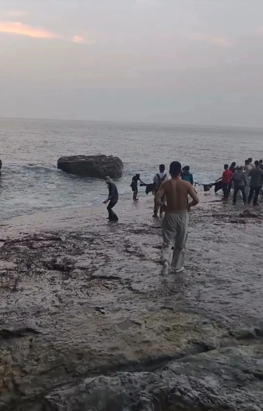 张小龙跳海救人走红