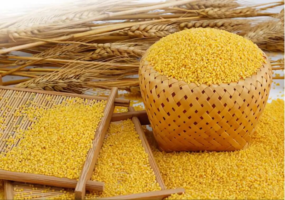 中国人，不了解小米就out了！