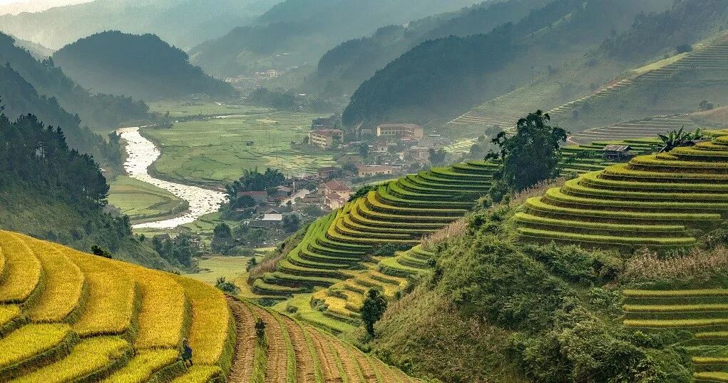 夏至话饮食 都是讲究人