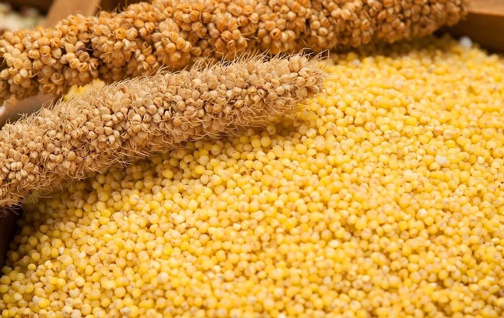 夏至话饮食 都是讲究人