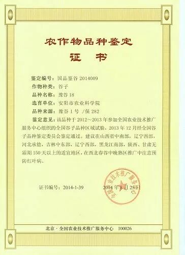 安阳农科院—以工匠精神做农研